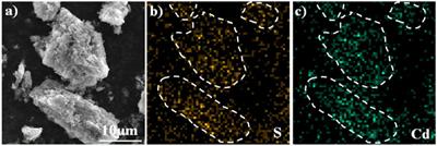 Preparation of CdS@C Photocatalyst Using Phytoaccumulation Cd Recycled From Contaminated Wastewater